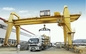 IP55 chemische Stahlindustrie Ton Gantry Crane For Irons des auf Schienen doppelten Träger-20